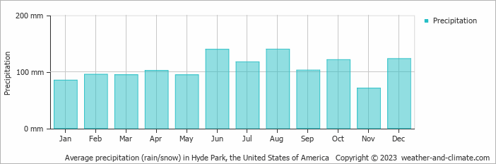 Average monthly rainfall, snow, precipitation in Hyde Park, the United States of America