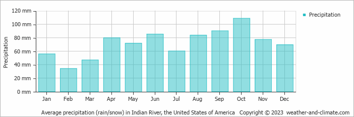 Average monthly rainfall, snow, precipitation in Indian River, the United States of America