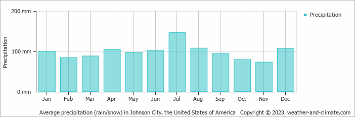 Average monthly rainfall, snow, precipitation in Johnson City, the United States of America