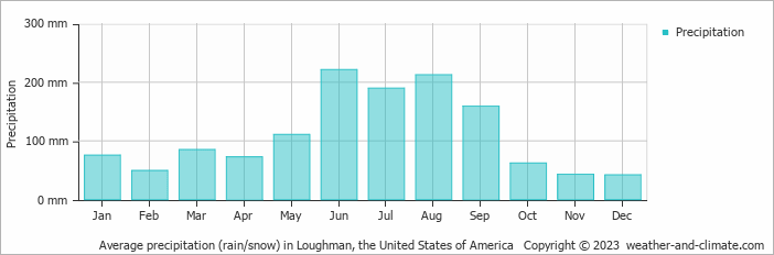 Average monthly rainfall, snow, precipitation in Loughman, the United States of America