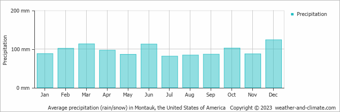 Average monthly rainfall, snow, precipitation in Montauk, the United States of America