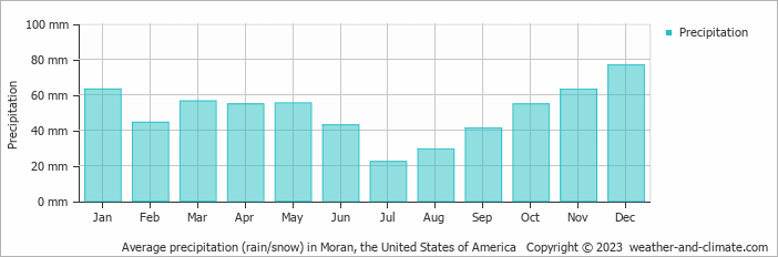 Average monthly rainfall, snow, precipitation in Moran, the United States of America