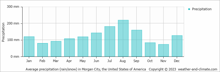 Average monthly rainfall, snow, precipitation in Morgan City, the United States of America