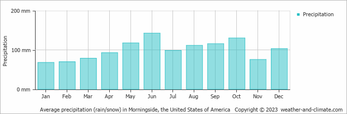 Average monthly rainfall, snow, precipitation in Morningside, the United States of America