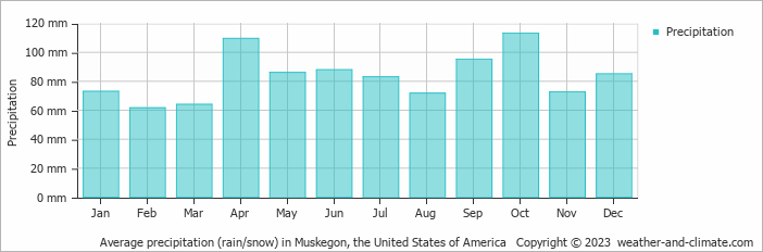Average monthly rainfall, snow, precipitation in Muskegon, the United States of America