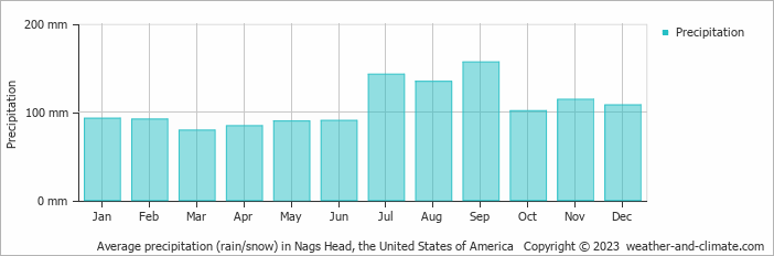 Average monthly rainfall, snow, precipitation in Nags Head, the United States of America