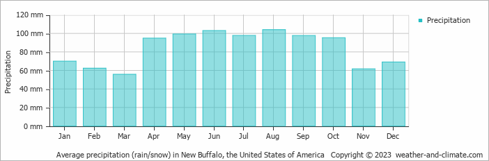 Average monthly rainfall, snow, precipitation in New Buffalo, the United States of America