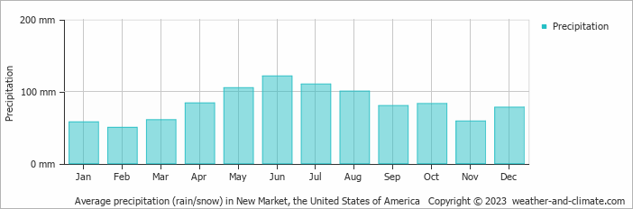 Average monthly rainfall, snow, precipitation in New Market, the United States of America