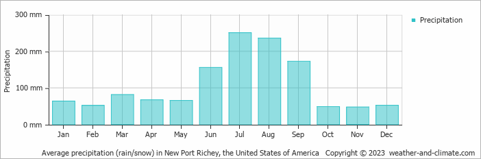 Average monthly rainfall, snow, precipitation in New Port Richey, the United States of America