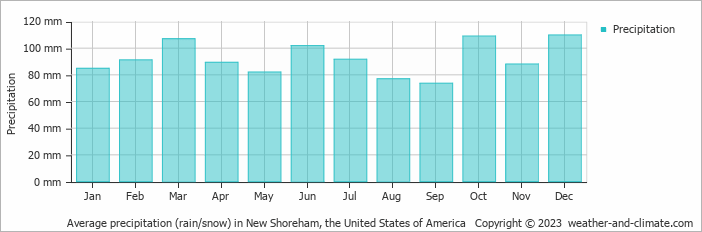 Average monthly rainfall, snow, precipitation in New Shoreham, the United States of America