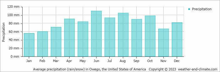 Average monthly rainfall, snow, precipitation in Owego, the United States of America