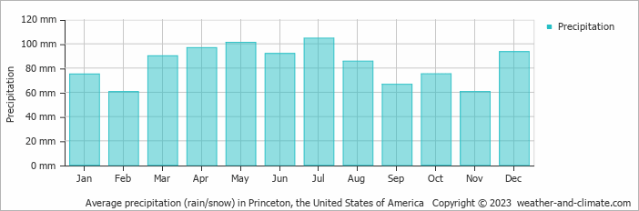 Average monthly rainfall, snow, precipitation in Princeton, the United States of America