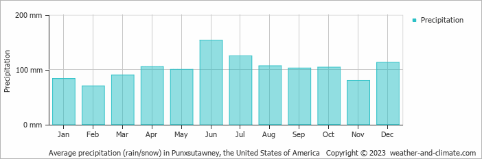 Average monthly rainfall, snow, precipitation in Punxsutawney, the United States of America