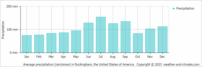 Average monthly rainfall, snow, precipitation in Rockingham, the United States of America