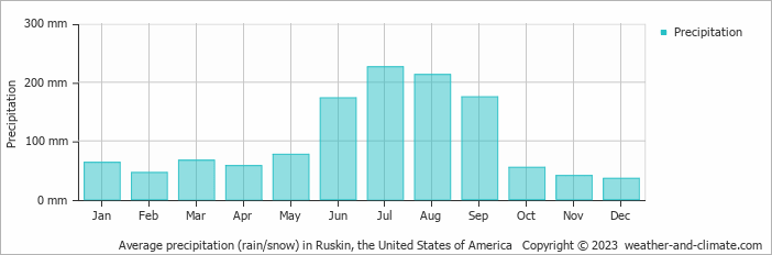 Average monthly rainfall, snow, precipitation in Ruskin, the United States of America