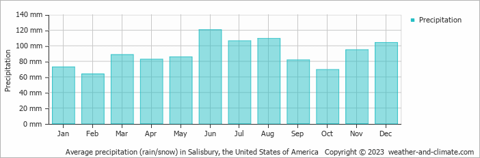 Average monthly rainfall, snow, precipitation in Salisbury, the United States of America
