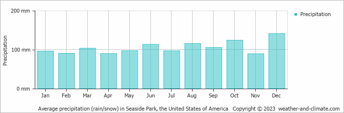 Average monthly rainfall, snow, precipitation in Seaside Park, the United States of America