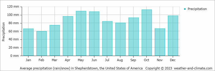 Average monthly rainfall, snow, precipitation in Shepherdstown, the United States of America
