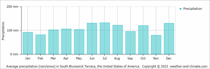 Average monthly rainfall, snow, precipitation in South Brunswick Terrace, the United States of America