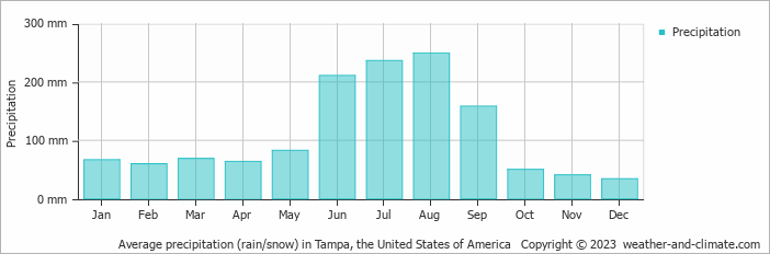 Average monthly rainfall, snow, precipitation in Tampa, the United States of America