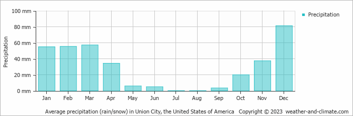 Average monthly rainfall, snow, precipitation in Union City, the United States of America