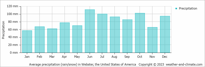 Average monthly rainfall, snow, precipitation in Webster, the United States of America