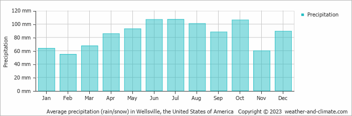Average monthly rainfall, snow, precipitation in Wellsville, the United States of America