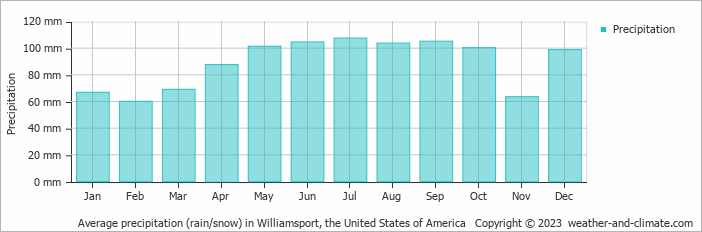 Average monthly rainfall, snow, precipitation in Williamsport, the United States of America