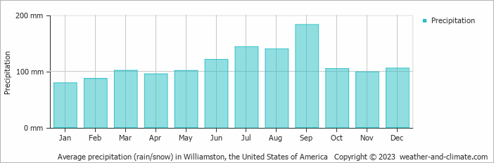 Average monthly rainfall, snow, precipitation in Williamston, the United States of America