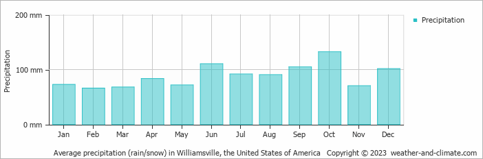Average monthly rainfall, snow, precipitation in Williamsville, the United States of America