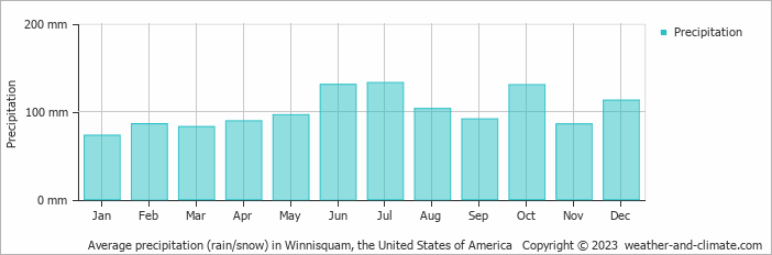Average monthly rainfall, snow, precipitation in Winnisquam, the United States of America